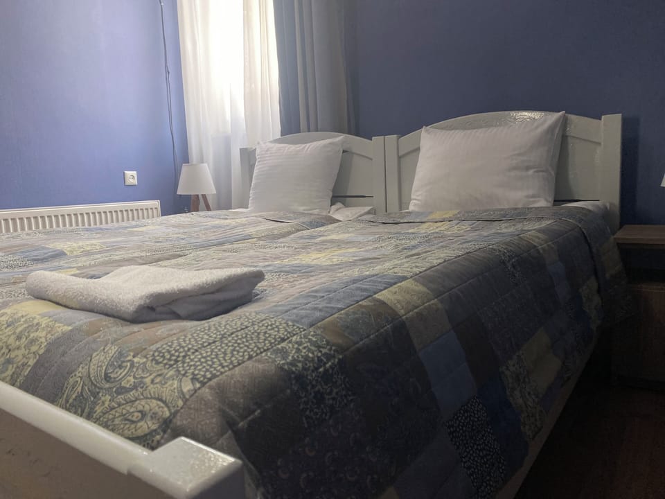 Economy Double or Twin Room, 2 Twin Beds, Non Smoking, Mountain View | Soundproofing, free WiFi, bed sheets