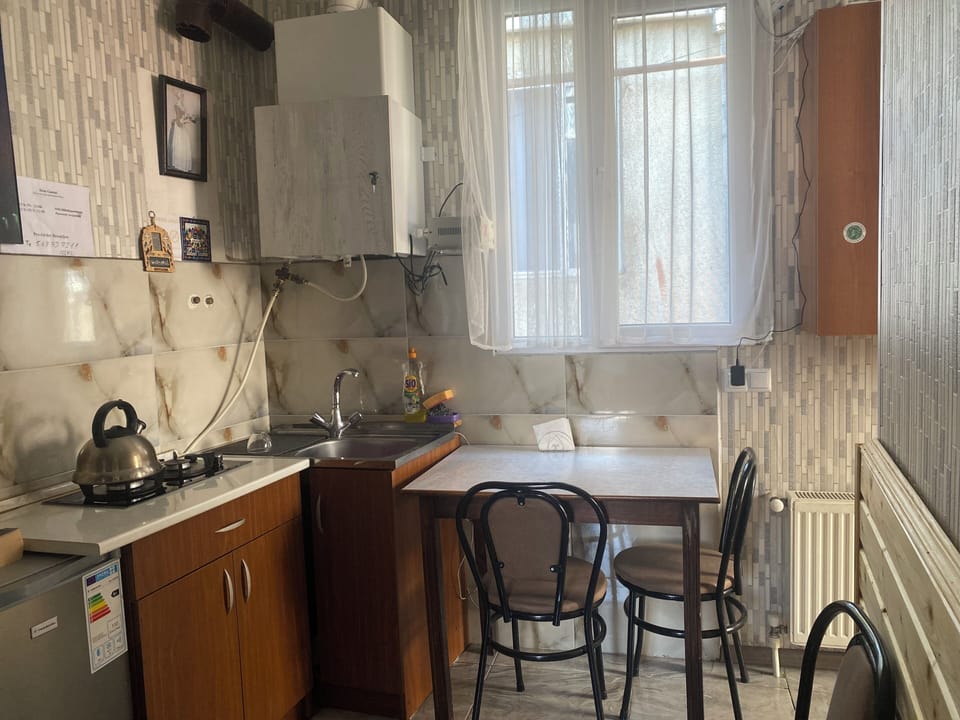 Economy Double or Twin Room, 2 Twin Beds, Non Smoking, Mountain View | In-room dining