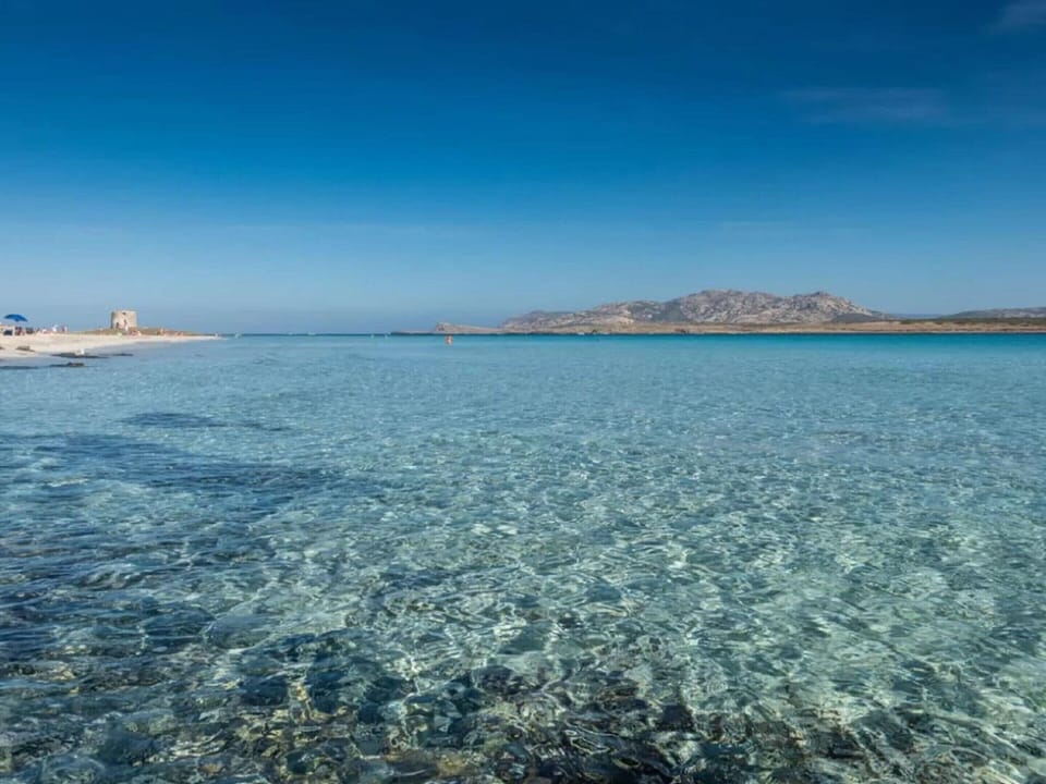 House | View from property