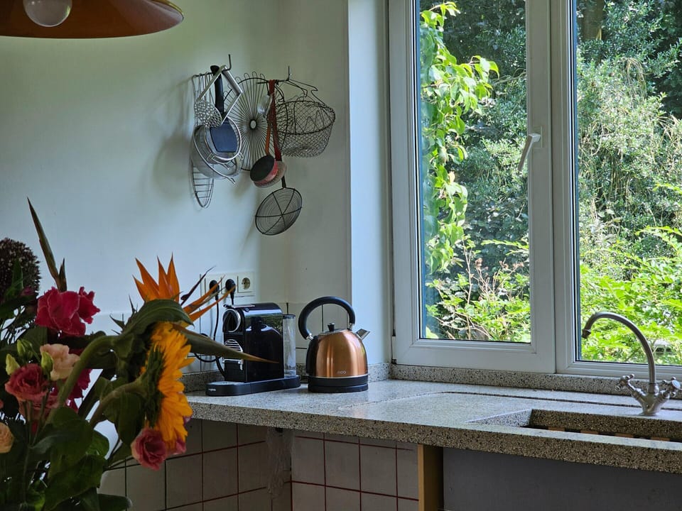 House | Private kitchen | Electric kettle, highchair