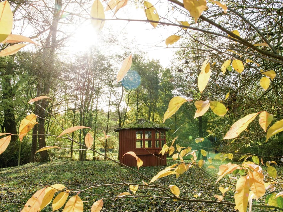House | View from property