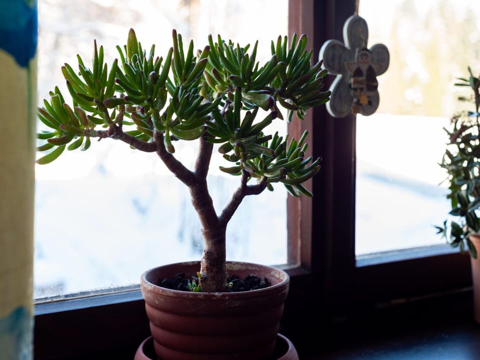 Apartment | Interior detail