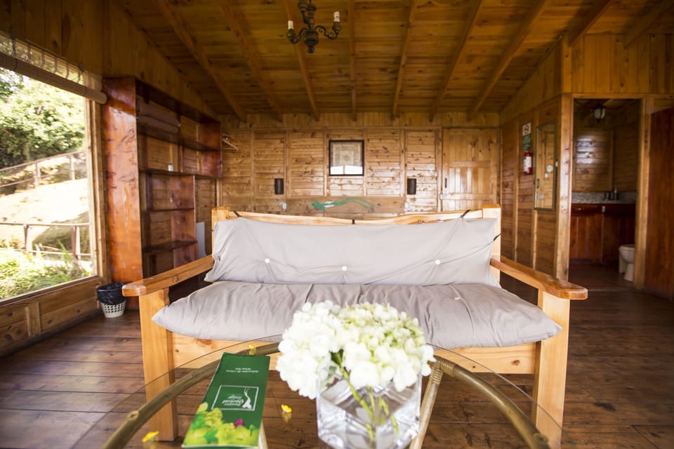 Superior Cabin | Individually decorated, individually furnished, bed sheets