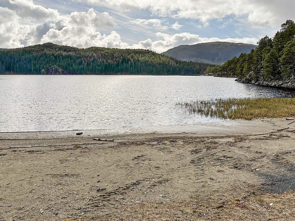 4 Person Holiday Home in Lysoysundet House in Trondelag
