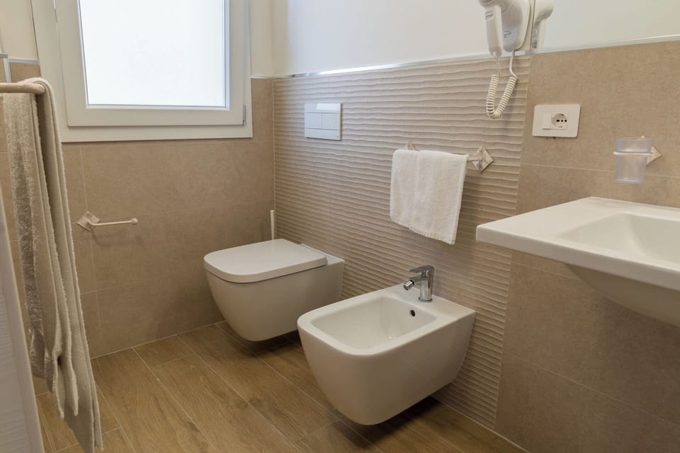 Hair dryer, bidet