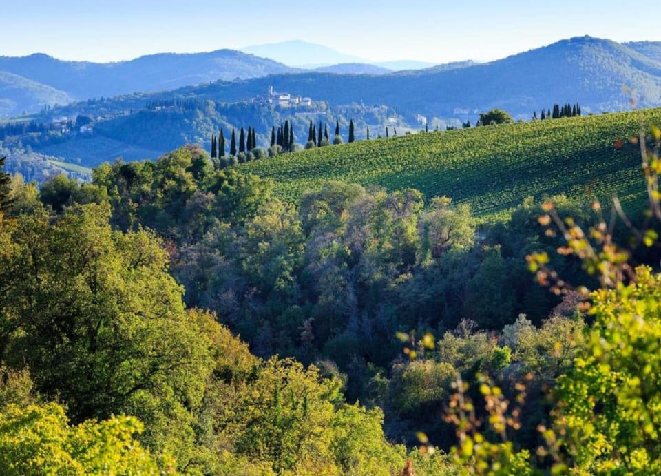 Villa | View from property