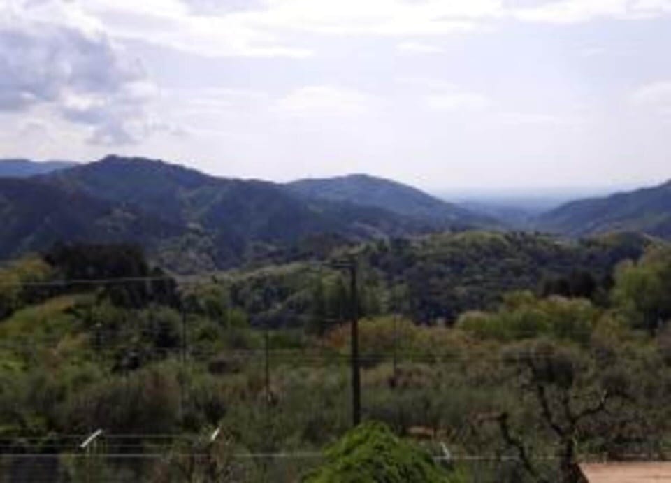 Cottage | View from property