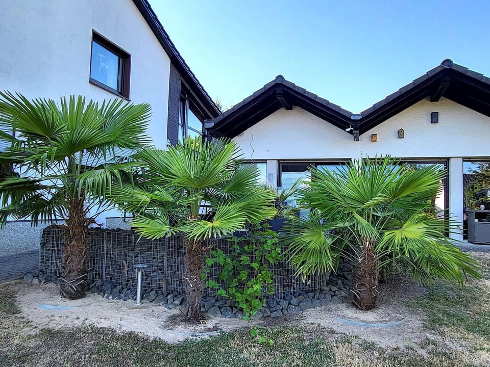 Apartment | Exterior