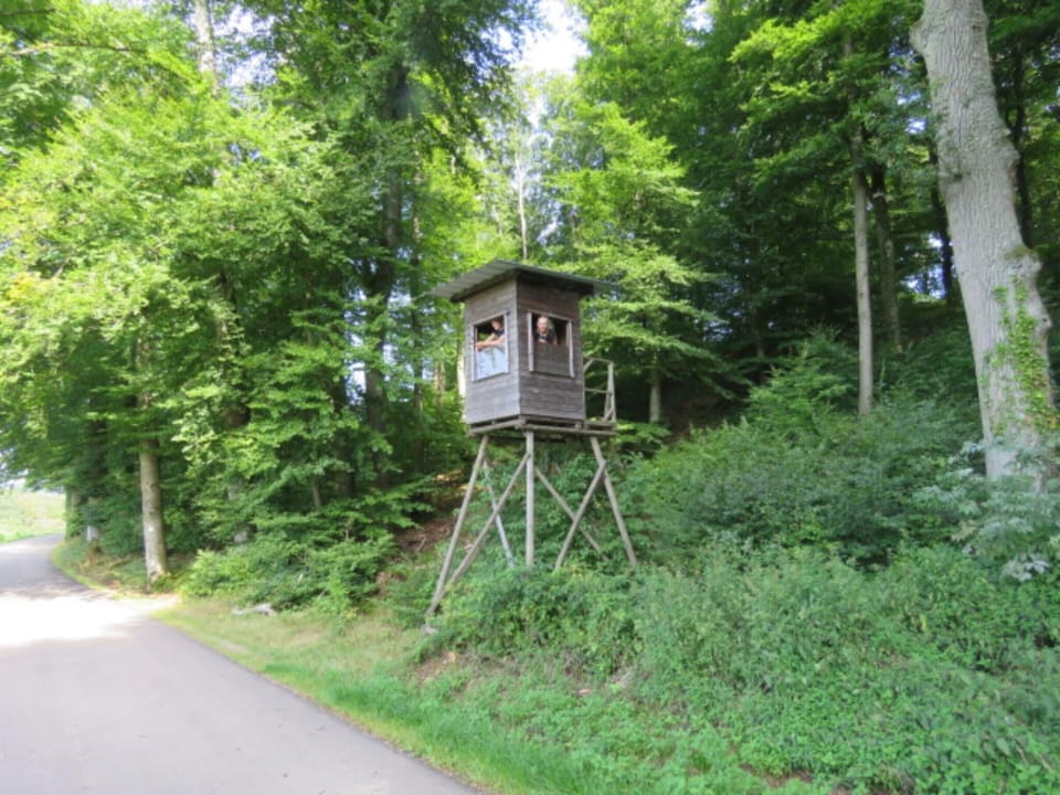 Tent | Exterior
