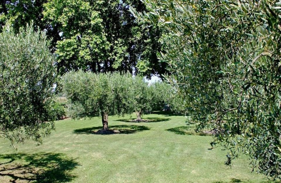 House | View from property