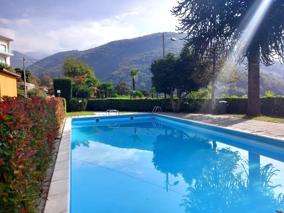 House | Pool | Outdoor pool