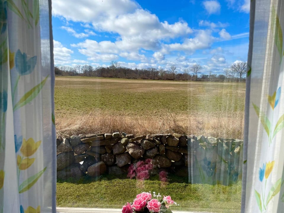 House | View from property
