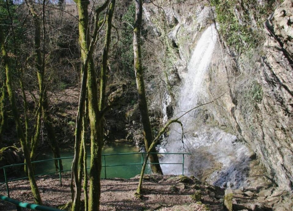 House | View from property