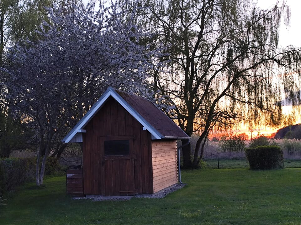 House | View from property