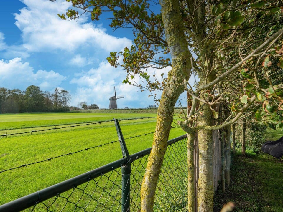 House | View from property