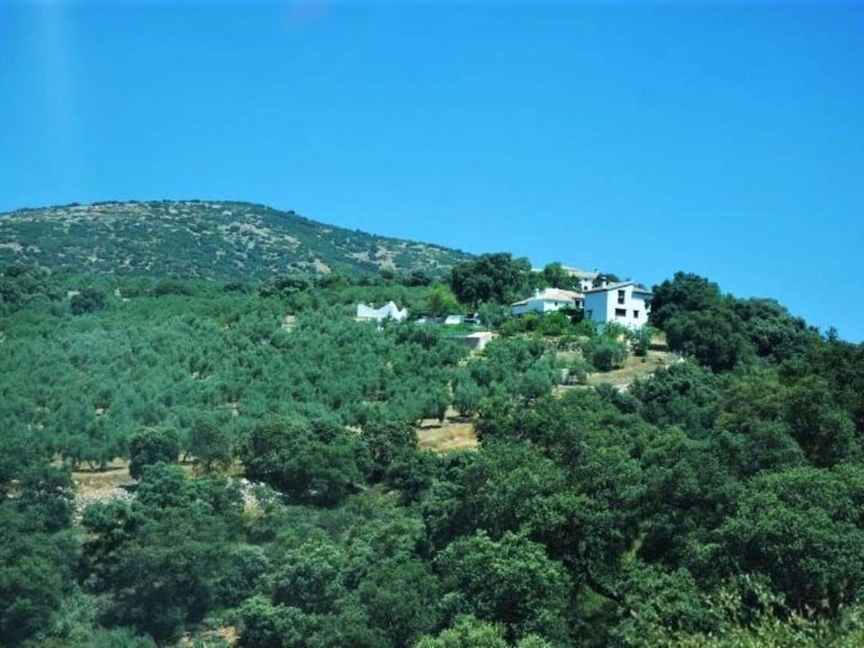 Cottage | View from property