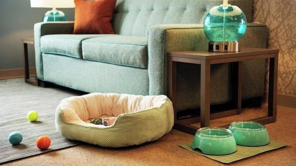 Iron/ironing board, free WiFi