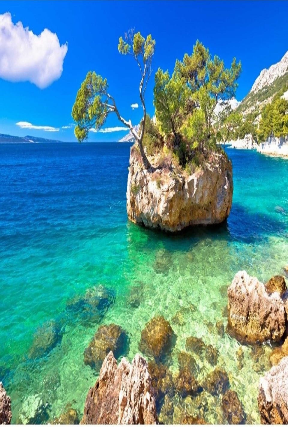 House (Authentic Stone House Lola - Two Bedr) | Beach