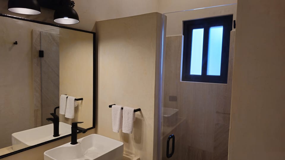 Shower, free toiletries, bidet, towels