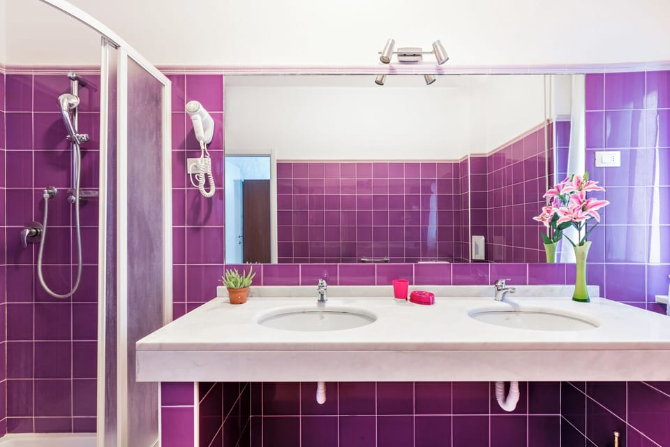 Shower, hair dryer, bidet, towels