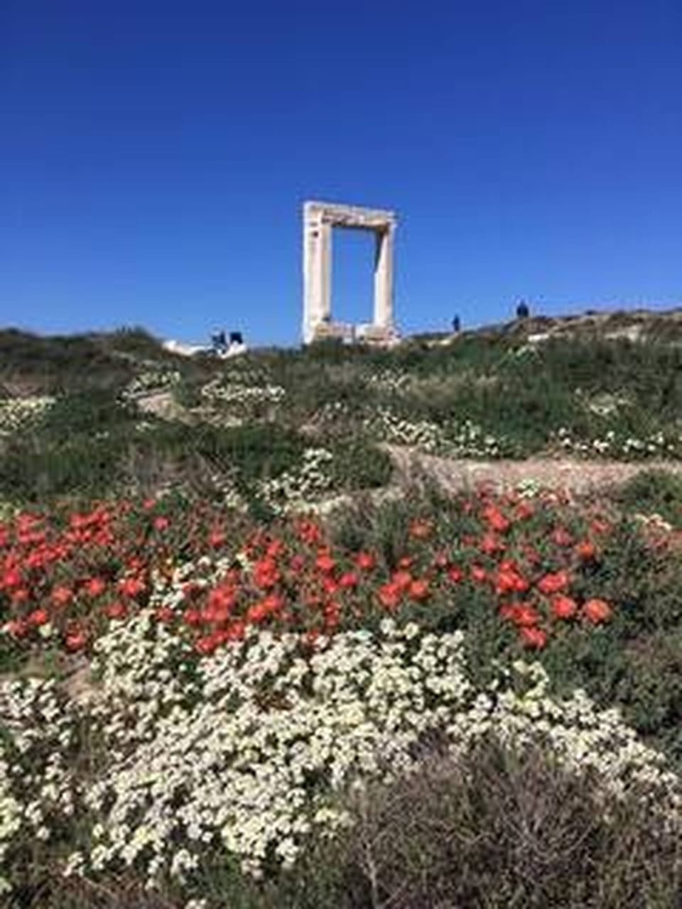 Apartment, 1 Bedroom, Smoking, Balcony | Exterior