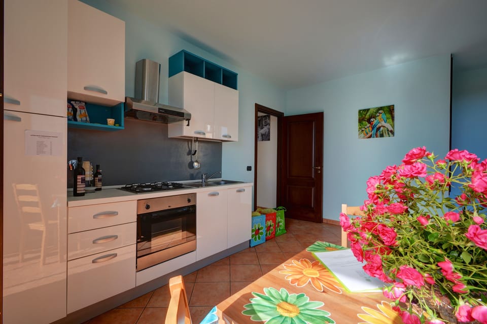 Apartment, 1 Bedroom, Balcony, Mountain View | Private kitchen