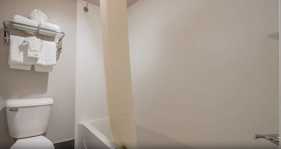 Room, 1 King Bed, Accessible | Bathroom | Combined shower/tub, free toiletries, hair dryer, towels