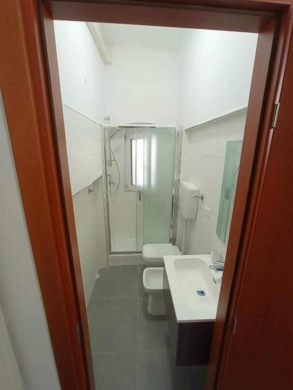 Hair dryer, bidet