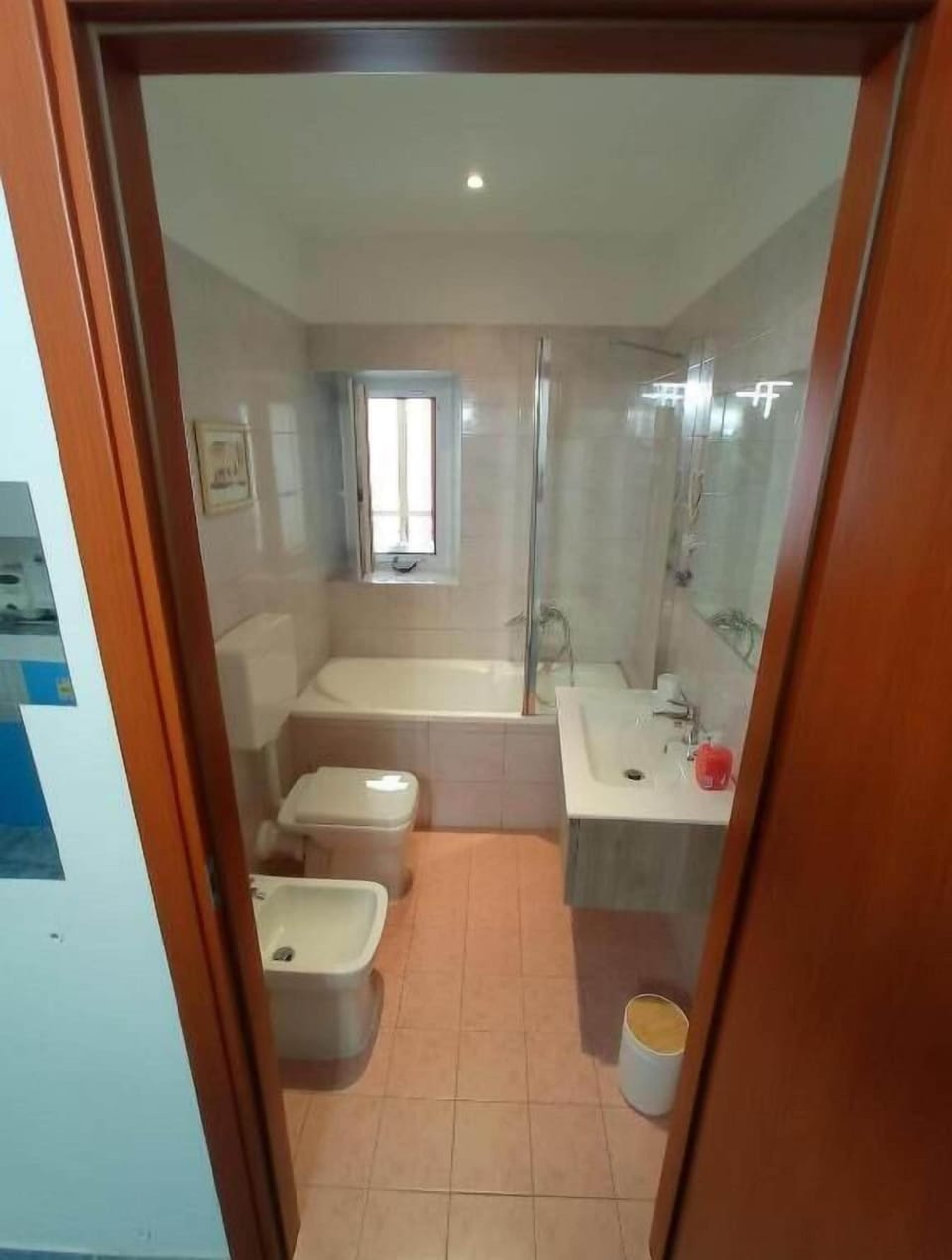 Hair dryer, bidet