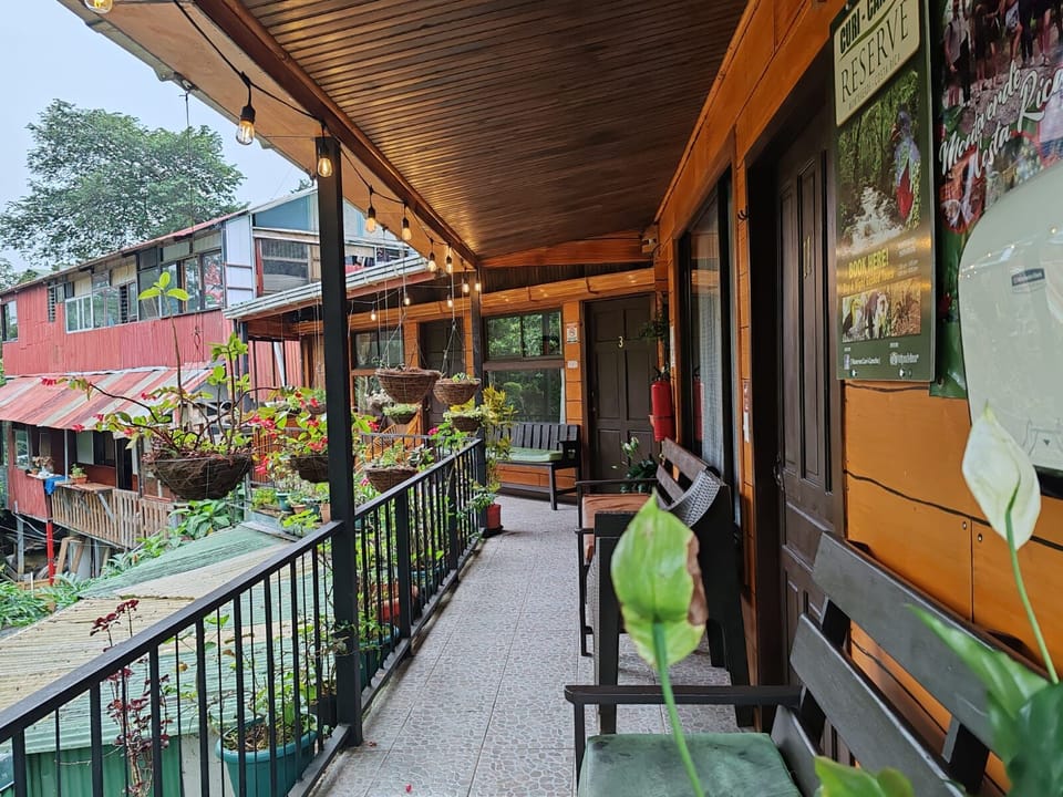 Cabinas El Pueblo - Hostel Hostel in Monteverde