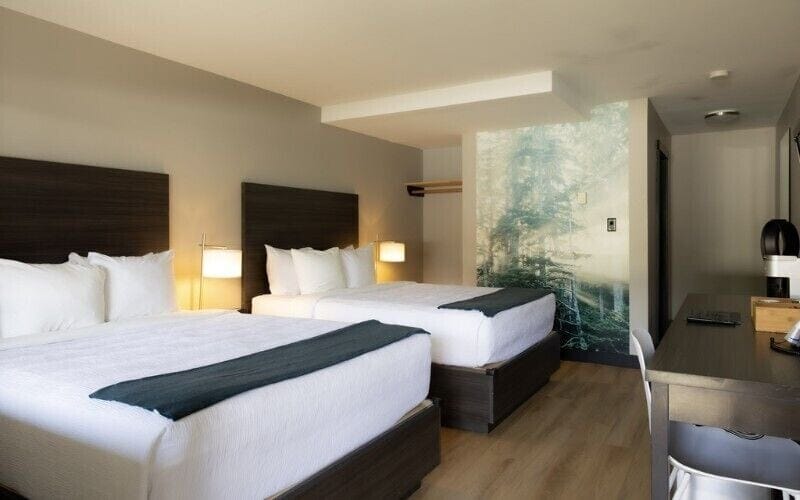 Standard Room, 2 Queen Beds | Pillowtop beds, desk, iron/ironing board, free WiFi