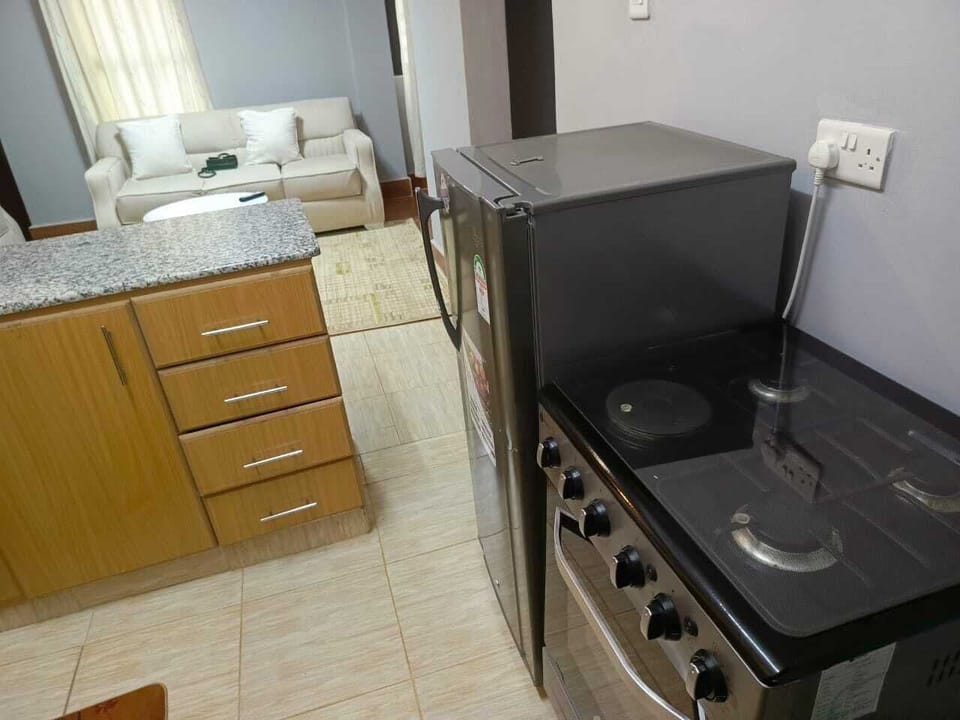 Comfort Apartment | Private kitchen | Fridge, microwave, cookware/dishes/utensils