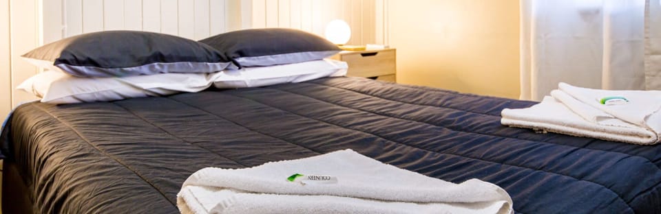 Standard Double Room | Iron/ironing board (on request), WiFi (free)