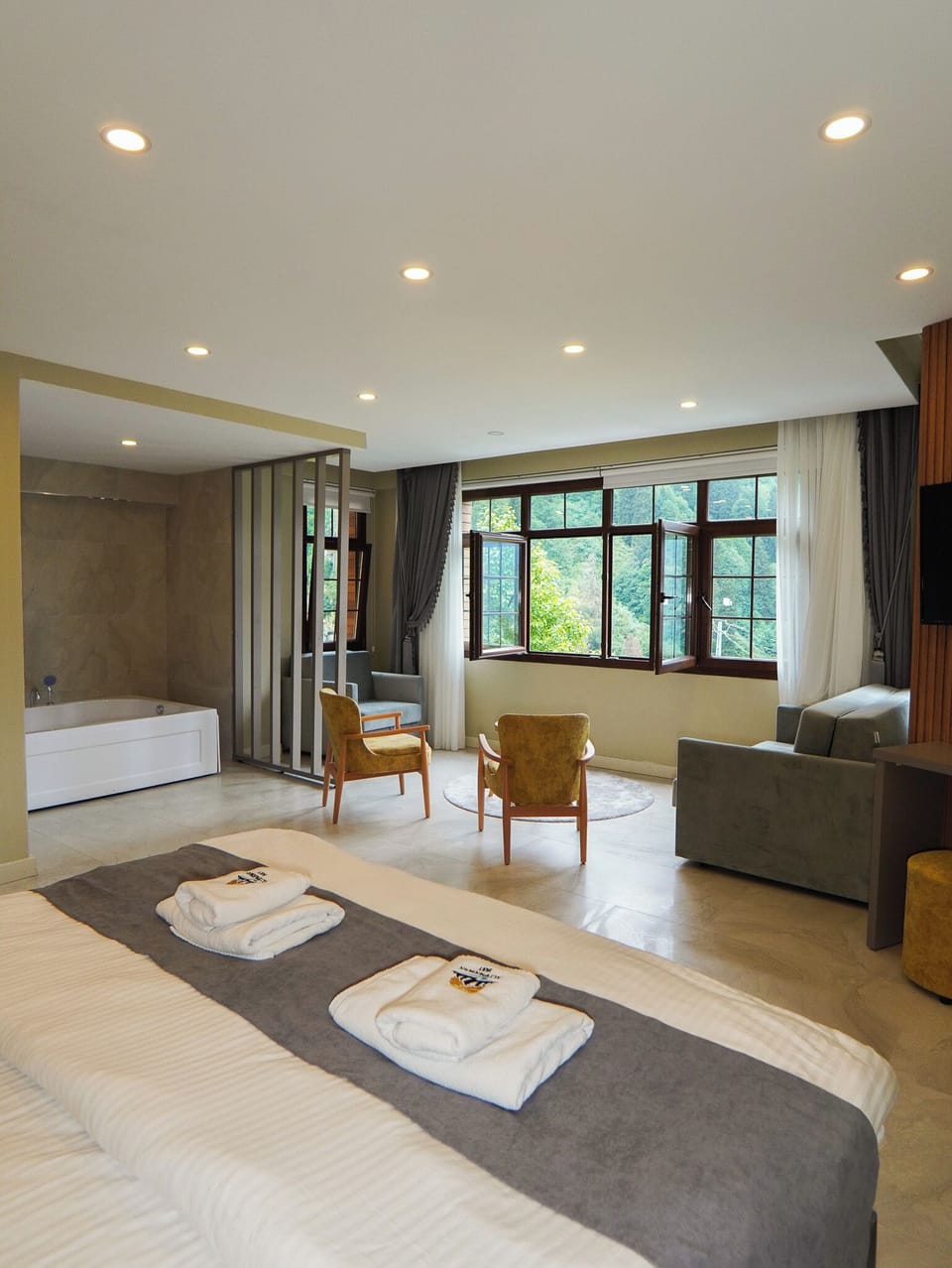 Deluxe Double Room Single Use, Mountain View | Desk, soundproofing, free WiFi, wheelchair access