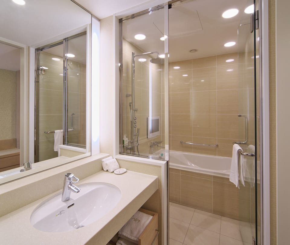 Free toiletries, hair dryer, slippers, bidet