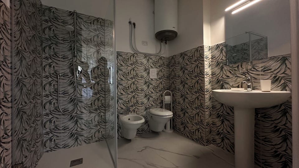 Hair dryer, bidet, towels, toilet paper