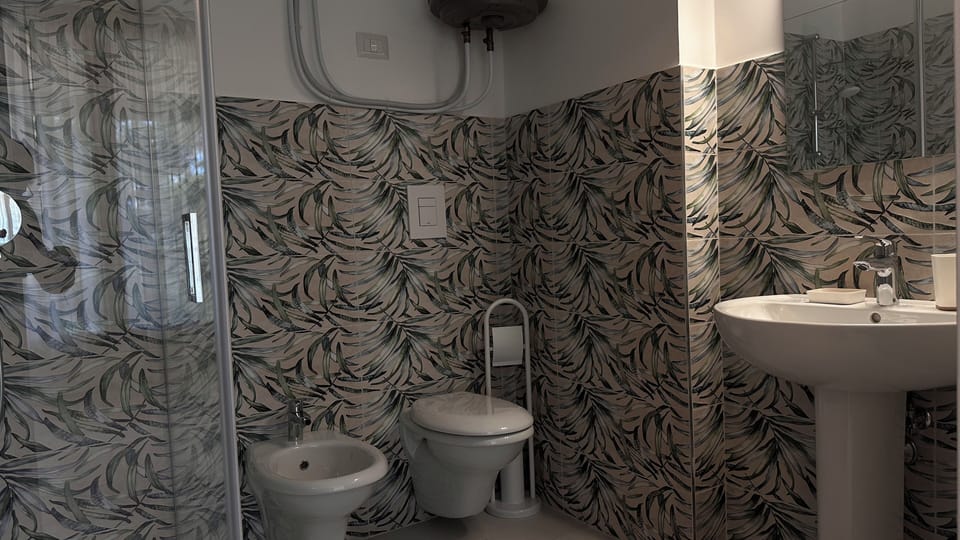 Hair dryer, bidet, towels, toilet paper