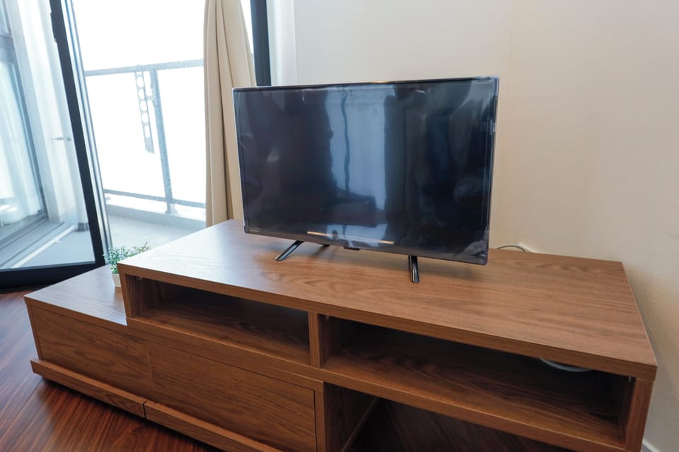 Television