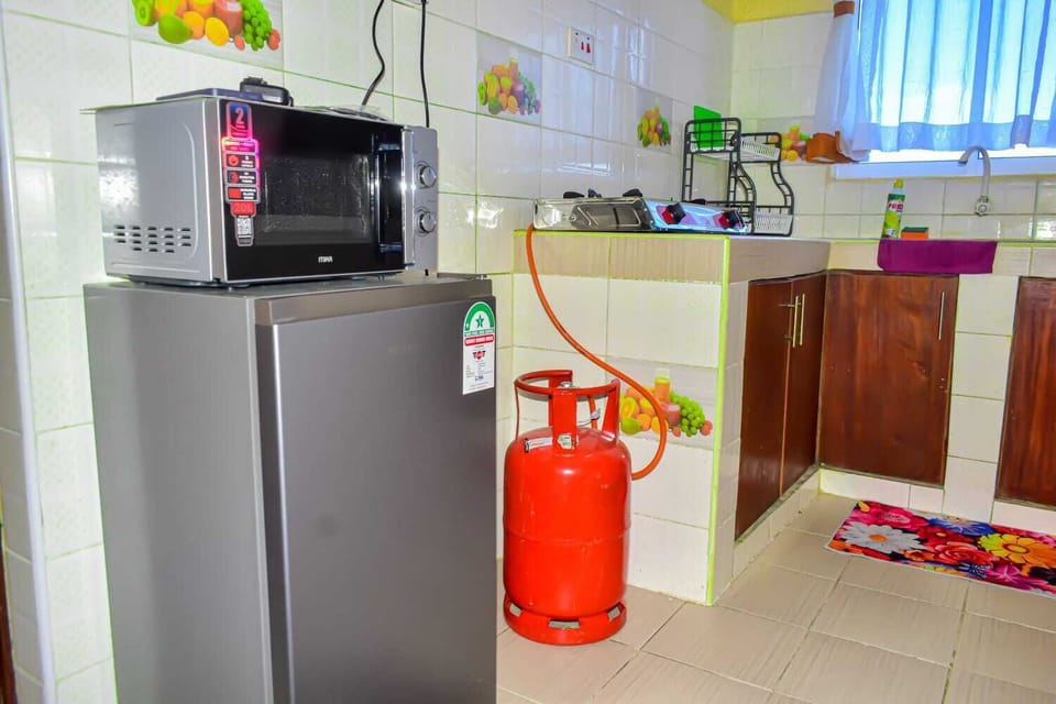 Classic Apartment, City View | Private kitchen | Fridge, microwave, cookware/dishes/utensils