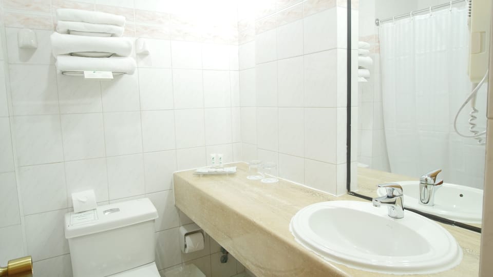 Separate tub and shower, rainfall showerhead, hair dryer, towels