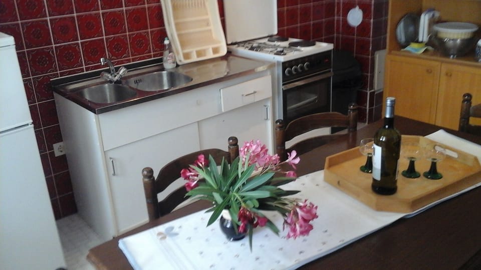 Apartment (Two Bedroom Apartment with Terrace) | Private kitchen | Fridge