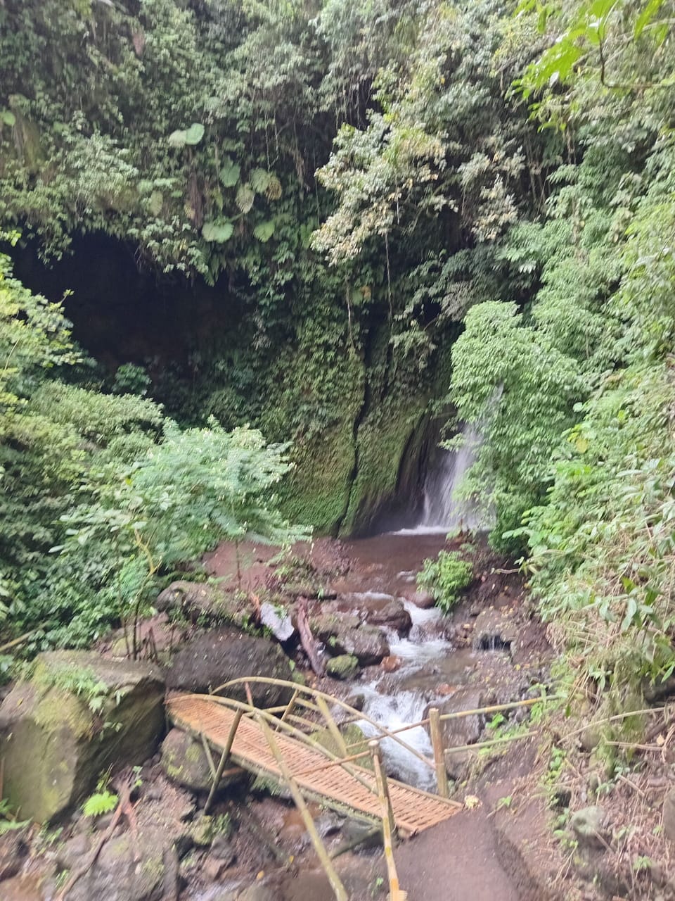 Hiking