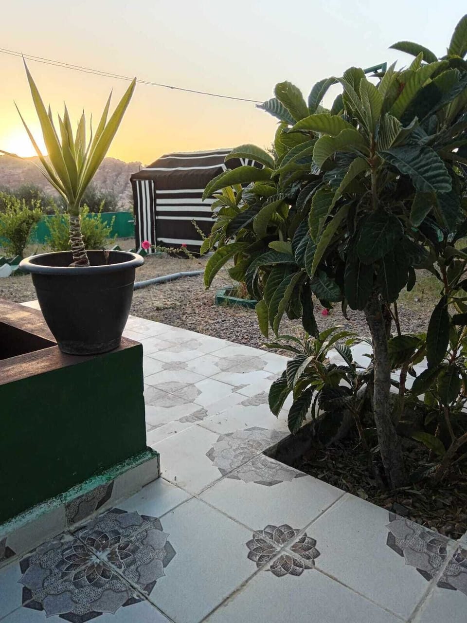 City view from property