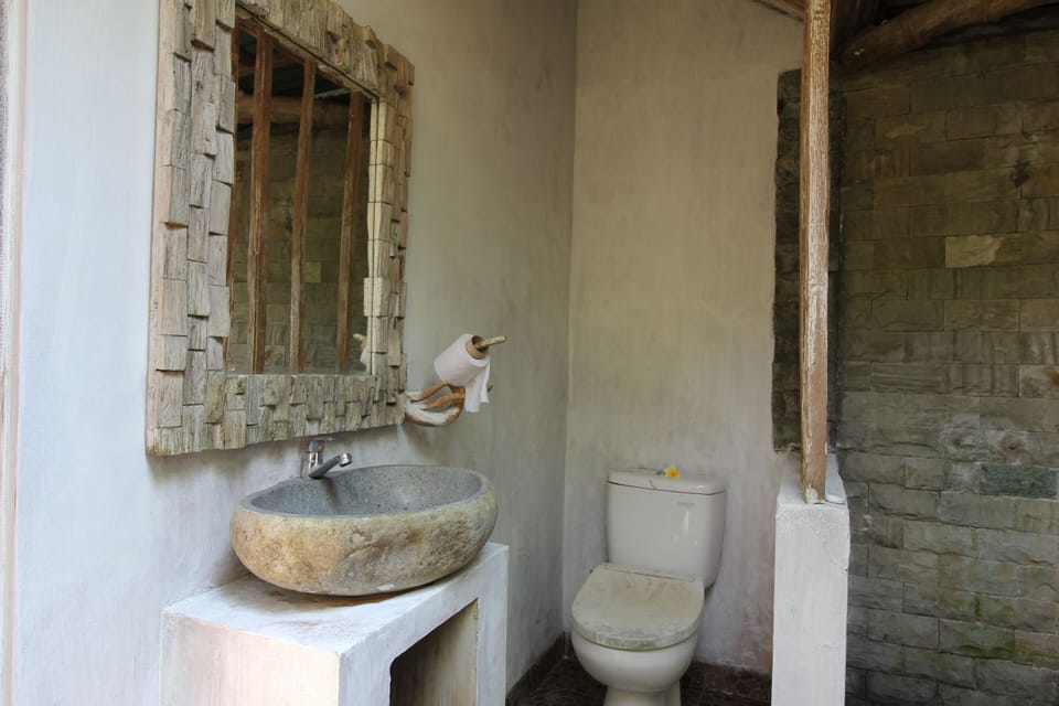Deluxe Double Room | Bathroom | Shower, towels, soap