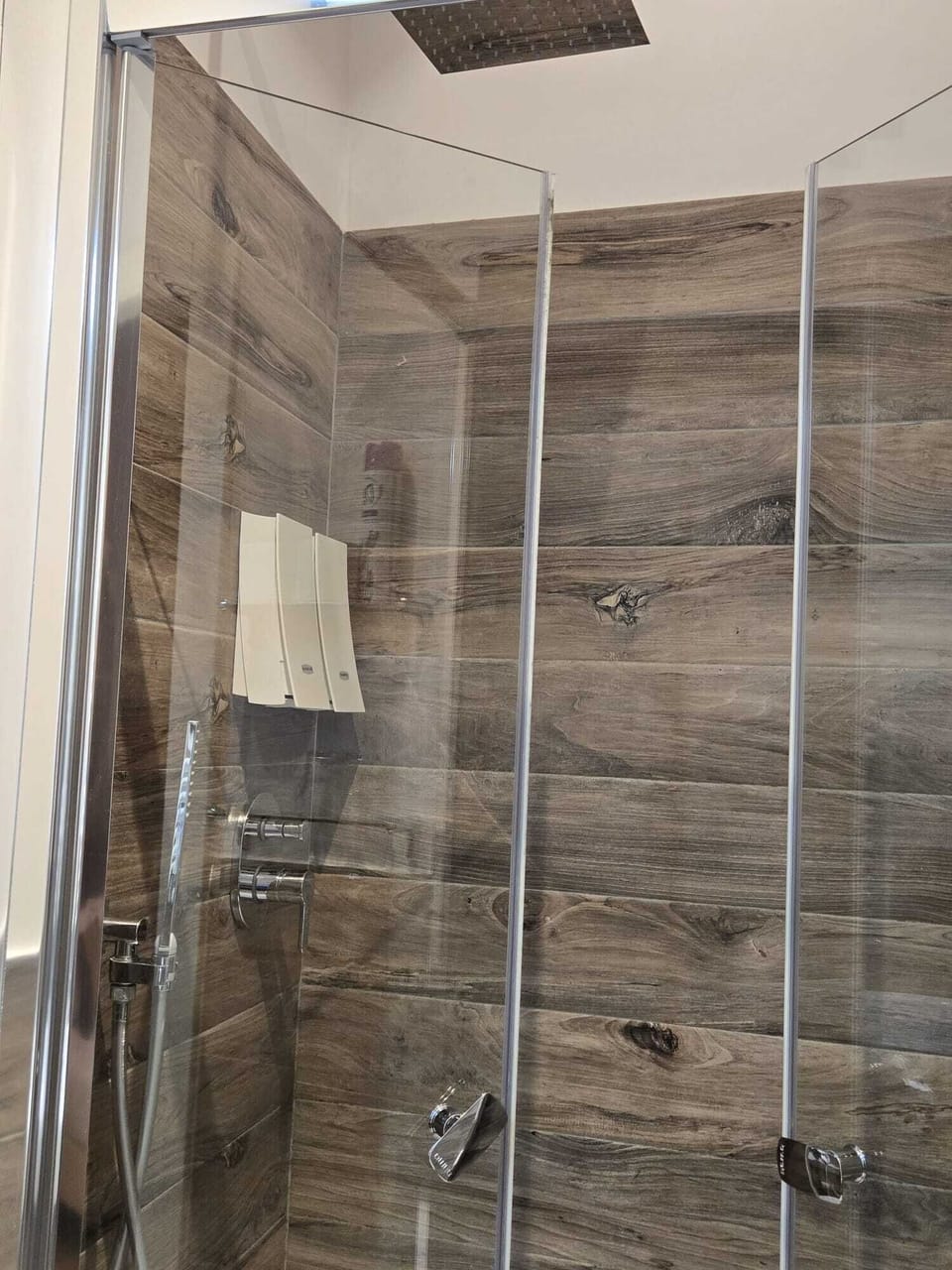 Shower, free toiletries, hair dryer, bidet