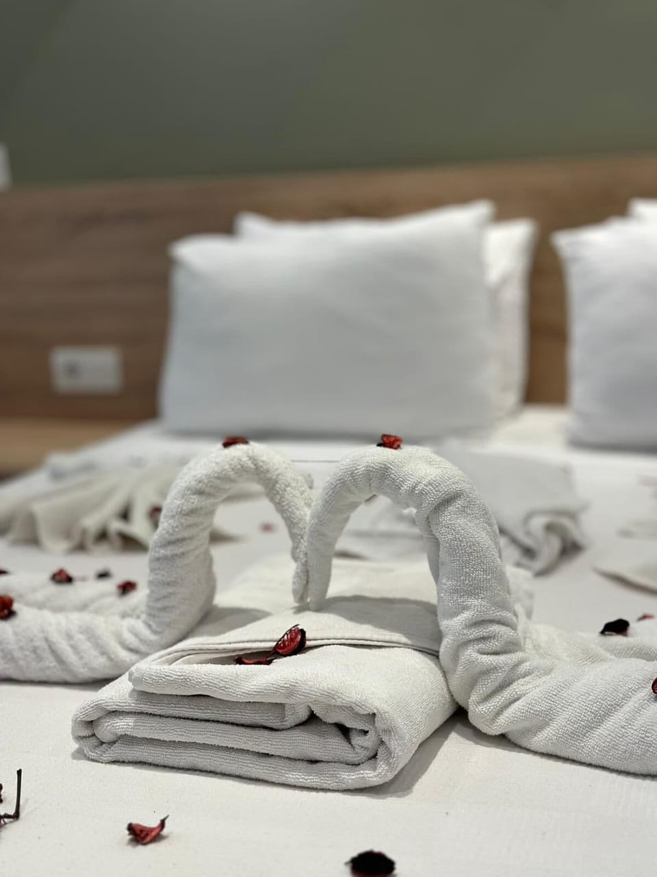 Egyptian cotton sheets, premium bedding, down comforters, desk