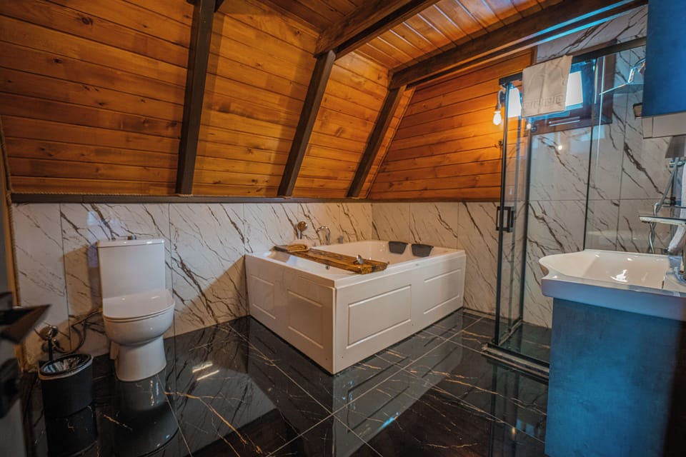 Combined shower/tub, free toiletries, hair dryer, slippers