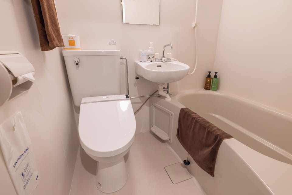 Combined shower/tub, hair dryer, bathrobes, electronic bidet