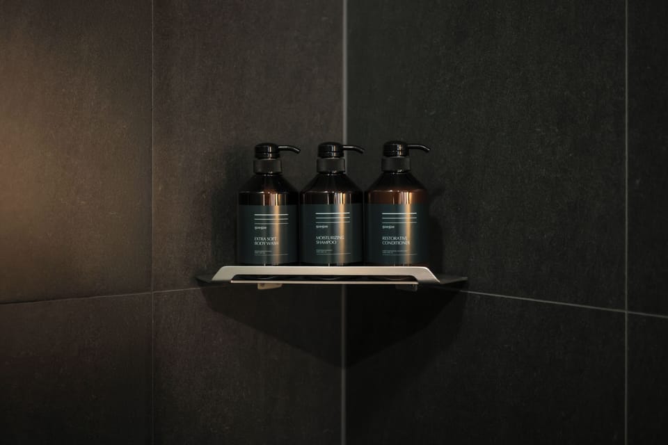 Shower, hair dryer, bathrobes, bidet