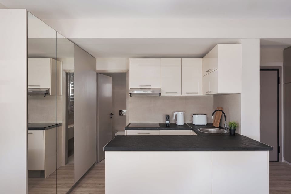 Luxury Apartment | Private kitchen | Fridge, microwave, stovetop, espresso maker